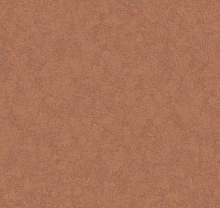 Loymina Shade SD3 007